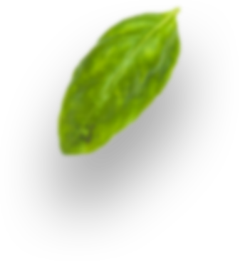 ldp leaf 2