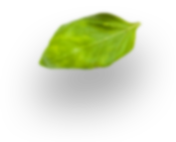 ldp leaf 3